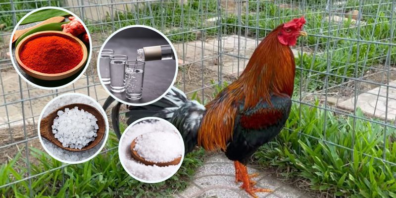 Nguyên liệu chuẩn bị cho cách vô nghệ cho gà đá cựa sắt