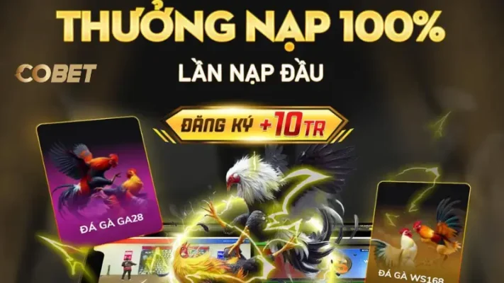 Khuyến mãi COBET - Gia tăng trải nghiệm người chơi