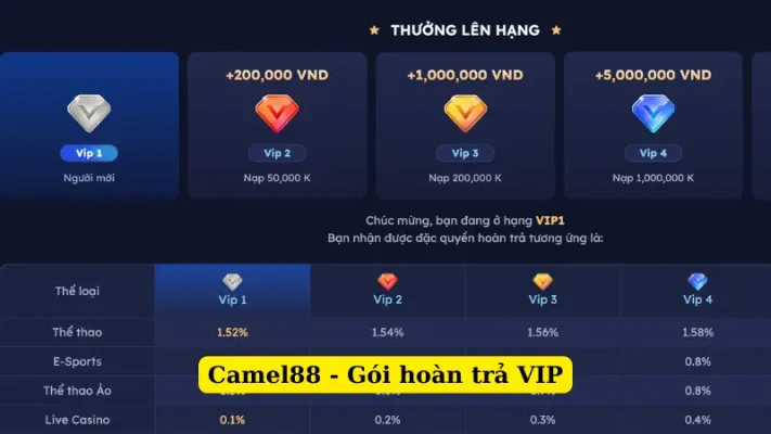 Camel88 - Gói hoàn trả VIP