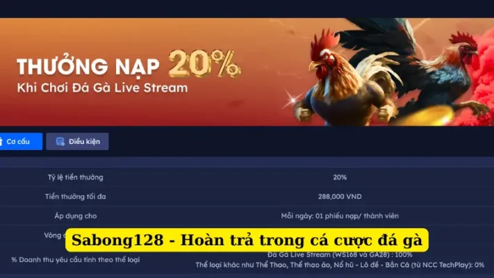 Sabong128 - Hoàn trả trong cá cược đá gà